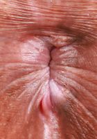 Alona Bloom Gets Undressed Outdoors, Alona Bloom (alo002) ATK Petites: Alona Bloom (Alona Bloom Gets Undressed Outdoors)
