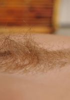 Amanda Bryant in scary hairy, Amanda Bryant (ama034) ATK Natural & Hairy: Amanda Bryant (Amanda Bryant in scary hairy)