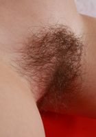 Naughty Russian babe Amelie teases and spreads her hairy pussy, Amelie (ame011) ATK Natural & Hairy: Amelie (Naughty Russian babe Amelie teases and spreads her hairy pussy)