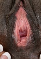 Ana Foxxx from ATK Exotics