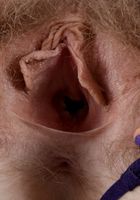Apricot Pitts in young and hairy, Apricot Pitts (apr024) ATK Natural & Hairy: Apricot Pitts (Apricot Pitts in young and hairy)