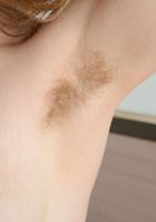 Apricot Pitts in young and hairy, Apricot Pitts (apr024) ATK Natural & Hairy: Apricot Pitts (Apricot Pitts in young and hairy)