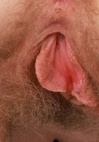 Apricot and her hairy Pitts, Apricot Pitts (apr024) ATK Natural & Hairy: Apricot Pitts (Apricot and her hairy Pitts)