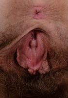 Apricot Pitts in young and hairy, Apricot Pitts (apr024) ATK Natural & Hairy: Apricot Pitts (Apricot Pitts in young and hairy)