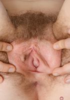Apricot Pitts in young and hairy, Apricot Pitts (apr024) ATK Natural & Hairy: Apricot Pitts (Apricot Pitts in young and hairy)