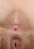 Apricot Pitts in young and hairy, Apricot Pitts (apr024) ATK Natural & Hairy: Apricot Pitts (Apricot Pitts in young and hairy)