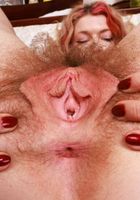 Apricot Pitts strips slowly and plays with her pubes, Apricot Pitts (apr024) ATK Natural & Hairy: Apricot Pitts (Apricot Pitts strips slowly and plays with her pubes)