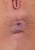 Ashley Adams Has a Pair of Knockers That Would Please Any Man, Ashley Adams (ash068) ATK Premium: Ashley Adams (Ashley Adams Has a Pair of Knockers That Would Please Any Man)