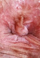 ATK Galleria: Asteria Jade (Asteria Jade Denim Dreams and Spreads)