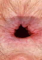 Ava D'Amore from ATK Natural & Hairy