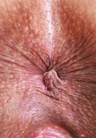 Naudi Nala from ATK Exotics