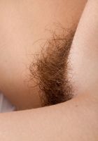 Hairy Aza strips off her panties, Aza (aza001) ATK Archives: Aza (Hairy Aza strips off her panties)