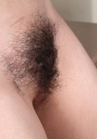 Bailey from ATK Archives