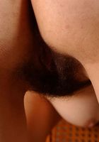 Bella in latinas, Bella (bel010) ATK Exotics: Bella (Bella in latinas)