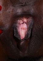 Bella Dahl loves to spread her cunt!, Bella Dahl (bel052) ATK Natural & Hairy: Bella Dahl (Bella Dahl loves to spread her cunt!)