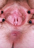 Big Eyes from ATK Natural & Hairy