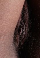 Carly Indoor Sexy Strip, Carly (car014) ATK Natural & Hairy: Carly (Carly Indoor Sexy Strip)
