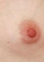 Cecelia Taylor Spreads Wide, Cecelia Taylor (cec016) ATK Petites: Cecelia Taylor (Cecelia Taylor Spreads Wide)
