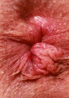 Cecelia Taylor shows a little skin, Cecelia Taylor (cec016) ATK Petites: Cecelia Taylor (Cecelia Taylor shows a little skin)