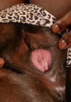 Ebony Babe Chocolate Strip and Spreads, Chocolate (cho003) ATK Natural & Hairy: Chocolate (Ebony Babe Chocolate Strip and Spreads)