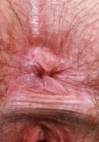 ATK Petites: Annabelle Lee (Annabelle Lee plays with her pubes)