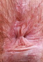 Annabelle Lee from ATK Natural & Hairy