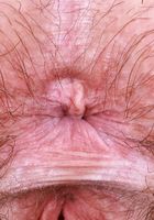 ATK Natural & Hairy: Annabelle Lee (Annabelle Lee is looking luscious in her lacey lingerie)