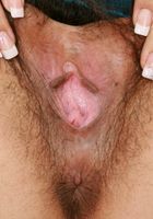 Daisy in exotic and hairy, Daisy (dai012) ATK Petites: Daisy (Daisy in exotic and hairy)