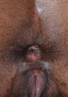 Janelle Taylor in exotic and hairy, Janelle Taylor (dia053) ATK Natural & Hairy: Janelle Taylor (Janelle Taylor in exotic and hairy)
