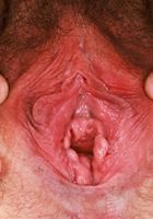 Dria Submits Outdoor Spreading, Dria Submits (dri003) ATK Natural & Hairy: Dria Submits (Dria Submits Outdoor Spreading)