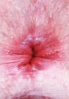 Em Indica Sexy Stripping, Em Indica (emi037) ATK Galleria: Em Indica (Em Indica Sexy Stripping)