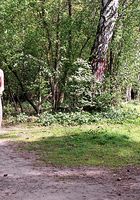 Eva in nudism, Eva (eva024) ATK Archives: Eva (Eva in nudism)