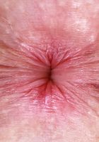 ATK Petites: Fiona Sprouts (Fiona Peaches can be your date for the evening)