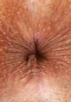 Gia Dibella Spreads Outdoors, Gia Dibella (gia027) ATK Exotics: Gia Dibella (Gia Dibella Spreads Outdoors)