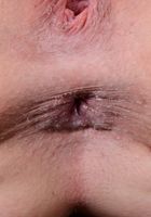Haylee Haven in lingerie, Haylee Haven (hay010) ATK Petites: Haylee Haven (Haylee Haven in lingerie)