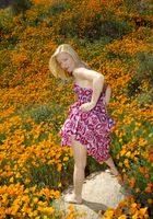 Heidi Hanson from ATK Archives