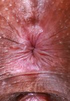 Isabella Jules from ATK Exotics