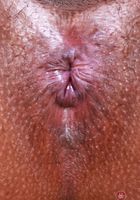 ATK Exotics: Isabella Jules (Tiny Isabella Jules Spreads)