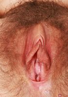 Jackie Hoff White Lingerie, Jackie Hoff (jac041) ATK Natural & Hairy: Jackie Hoff (Jackie Hoff White Lingerie)