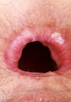 Jackie Hoff Gaping Asshole, Jackie Hoff (jac041) ATK Natural & Hairy: Jackie Hoff (Jackie Hoff Gaping Asshole)