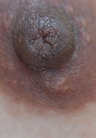 Jhenny in asians, Jhenny (jhe002) ATK Exotics: Jhenny (Jhenny in asians)