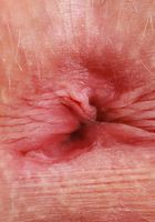 Kallie Taylor Strips & Spreads Wide, Kallie Taylor (kal019) ATK Natural & Hairy: Kallie Taylor (Kallie Taylor Strips & Spreads Wide)