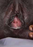 Kima is pure black beauty, Kima (kim063) ATK Exotics: Kima (Kima is pure black beauty)