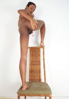 Kittany in toys, Kittany (kit026) ATK Exotics: Kittany (Kittany in toys)