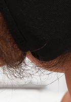 Kiwi in exotic and hairy, Kiwi (kiw004) ATK Natural & Hairy: Kiwi (Kiwi in exotic and hairy)