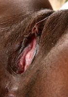 ATK Exotics: Lea (Black model Lea spreads her pussy)