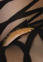 Meena in lingerie, Meena (mee002) ATK Petites: Meena (Meena in lingerie)