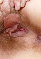Mercy spreads her young red furry snatch, Mercy West (mer029) ATK Natural & Hairy: Mercy West (Mercy spreads her young red furry snatch)