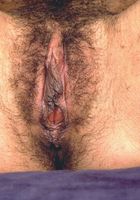 Michelle in latinas, Michelle (mic055) ATK Exotics: Michelle (Michelle in latinas)