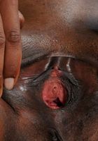 Michelle Malone in blowjob, Michelle Malone (mic112) ATK Exotics: Michelle Malone (Michelle Malone in blowjob)